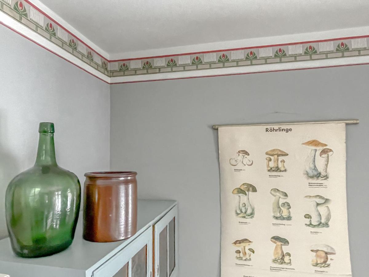 Traumhaff Denkmalgeschuetzter Amalienhof Sauna, Offener Kamin, Hund Ahlbeck  ภายนอก รูปภาพ