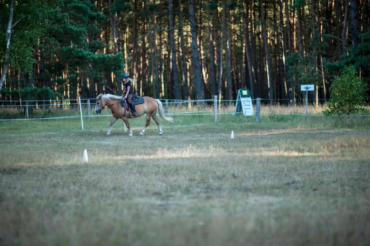 Traumhaff Denkmalgeschuetzter Amalienhof Sauna, Offener Kamin, Hund Ahlbeck  ภายนอก รูปภาพ